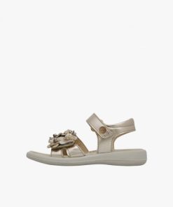 Rivercast.shop095625421e 1