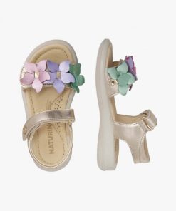 Rivercast.shop2fe6408fc3 2