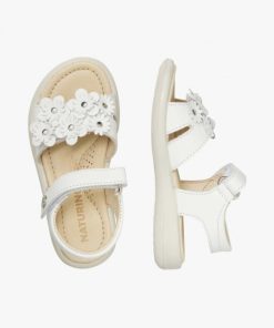 Rivercast.shop32a1e1e43f 2